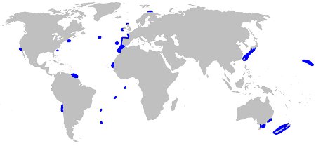 Frilled Shark Distribution Ma